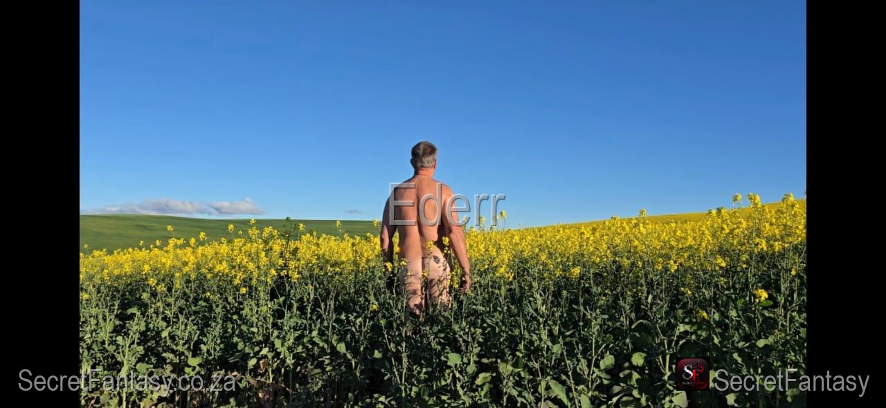 Swinger member near Bellville